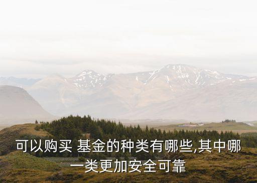 可以購(gòu)買(mǎi) 基金的種類有哪些,其中哪一類更加安全可靠