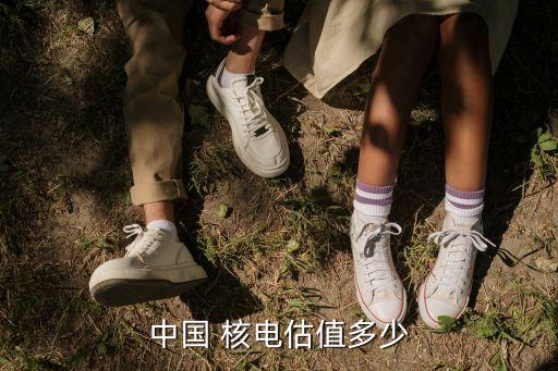 中國核電成本價(jià)是多少