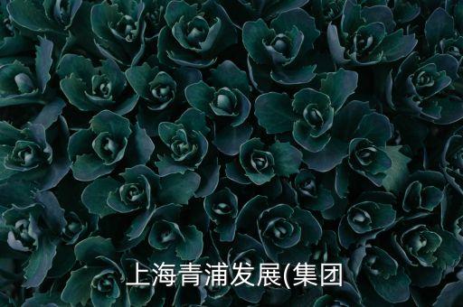  上海青浦發(fā)展(集團