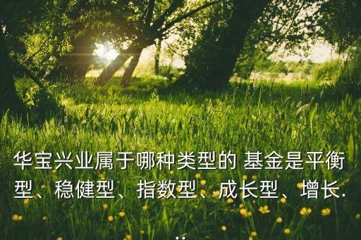 華寶興業(yè)屬于哪種類型的 基金是平衡型、穩(wěn)健型、指數(shù)型、成長型、增長...