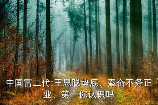 中國富二代:王思聰墊底、秦奮不務(wù)正業(yè)、第一你認(rèn)識嗎