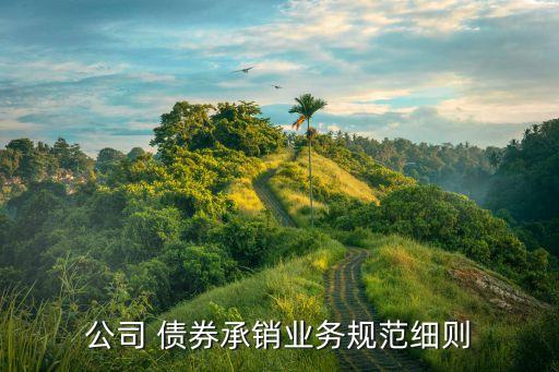 公司 債券承銷(xiāo)業(yè)務(wù)規(guī)范細(xì)則