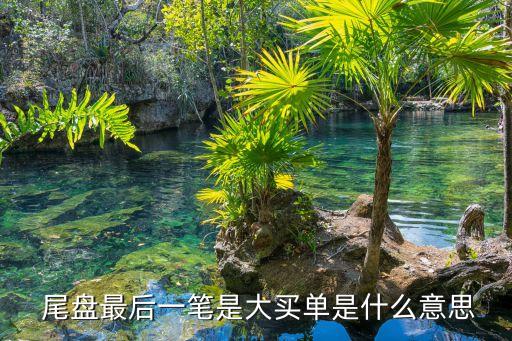  尾盤(pán)最后一筆是大買(mǎi)單是什么意思
