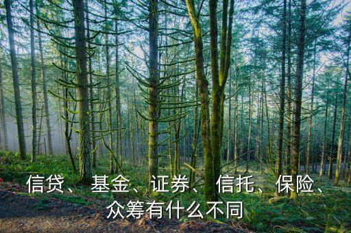 信貸、 基金、證券、 信托、保險(xiǎn)、眾籌有什么不同