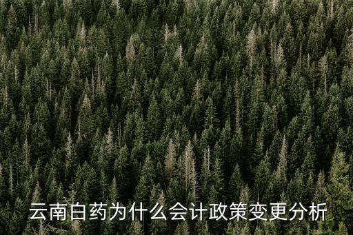  云南白藥為什么會計(jì)政策變更分析
