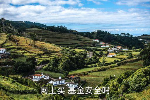 網上買 基金安全嗎