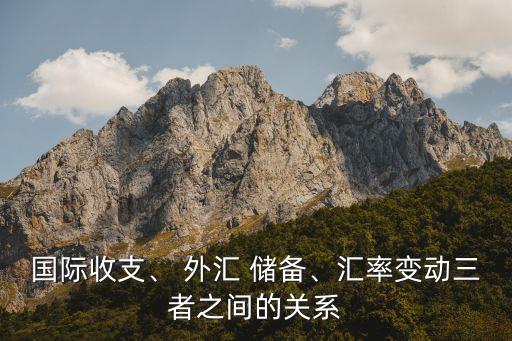 國(guó)際收支、 外匯 儲(chǔ)備、匯率變動(dòng)三者之間的關(guān)系