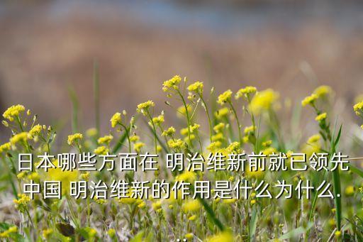 日本哪些方面在 明治維新前就已領先中國 明治維新的作用是什么為什么...