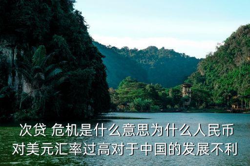 預測中國次貸危機,預測次貸危機的經濟學家