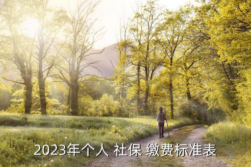 2023年個人 社保 繳費(fèi)標(biāo)準(zhǔn)表