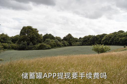  儲蓄罐APP提現(xiàn)要手續(xù)費(fèi)嗎