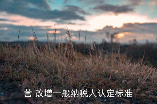營 改增一般納稅人認定標準