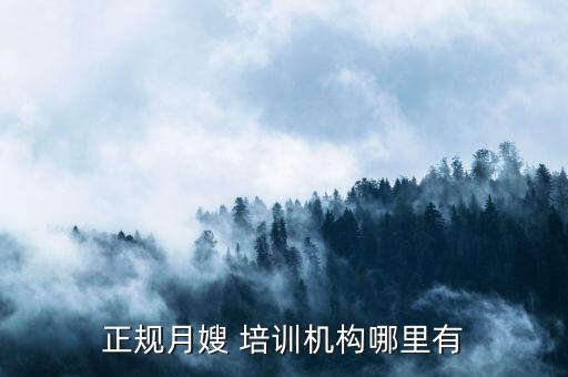 正規(guī)月嫂 培訓機構(gòu)哪里有