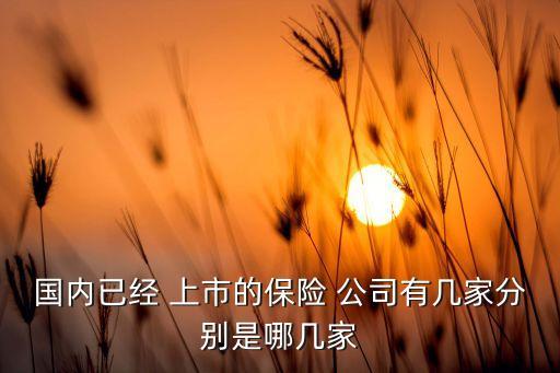 國內已經 上市的保險 公司有幾家分別是哪幾家