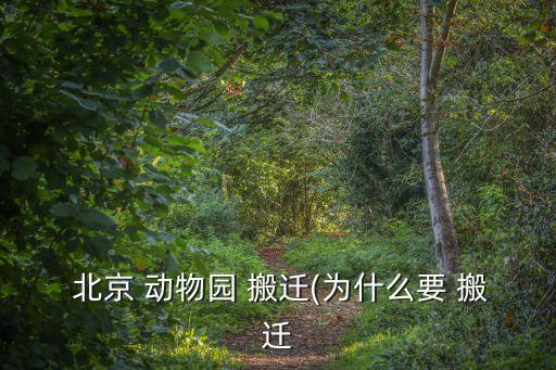 北京動物園批發(fā)市場搬遷時(shí)間