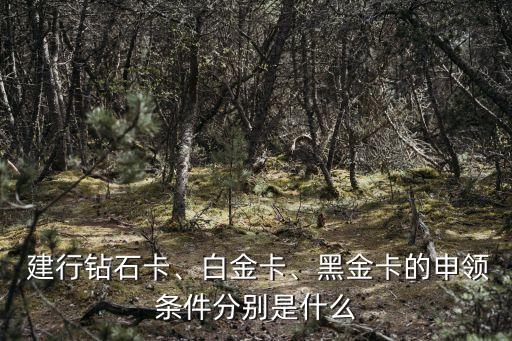  建行鉆石卡、白金卡、黑金卡的申領(lǐng)條件分別是什么