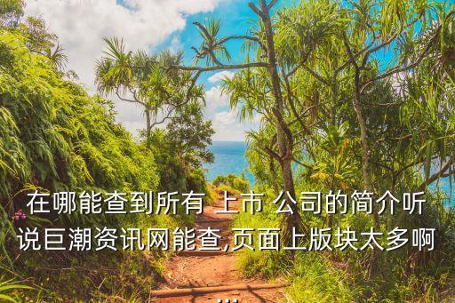 在哪能查到所有 上市 公司的簡(jiǎn)介聽說巨潮資訊網(wǎng)能查,頁(yè)面上版塊太多啊...