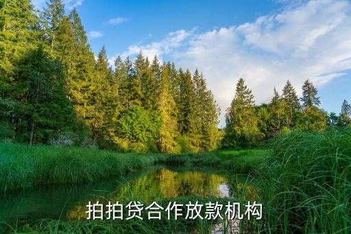 拍拍貸合作放款機(jī)構(gòu)