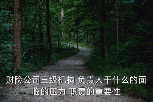 財險公司三級機構(gòu) 負責(zé)人干什么的面臨的壓力 職責(zé)的重要性
