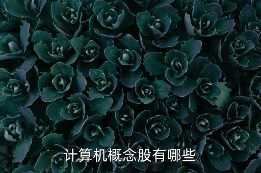 計算機(jī)概念股有哪些