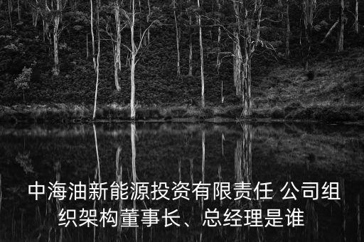  中海油新能源投資有限責任 公司組織架構董事長、總經(jīng)理是誰