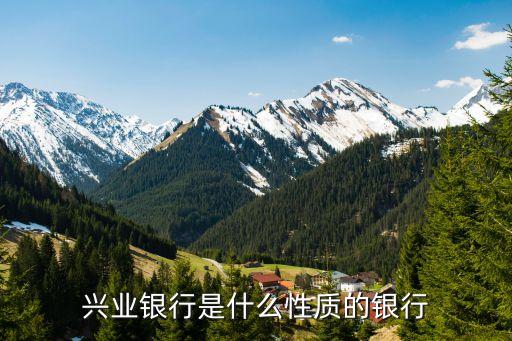 興業(yè)銀行是什么性質的銀行