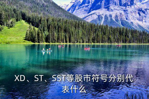 XD、ST、SST等股市符號分別代表什么