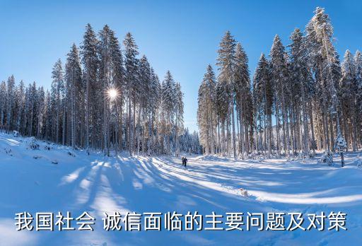 我國社會 誠信面臨的主要問題及對策