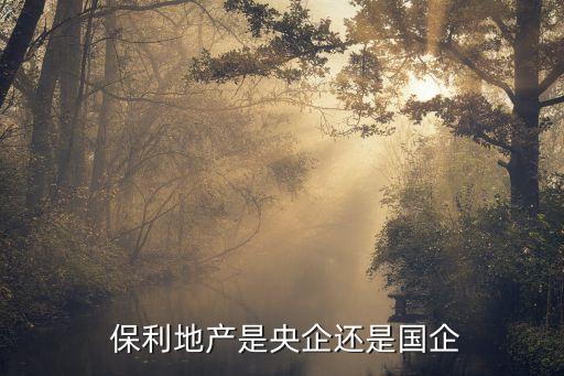  保利地產是央企還是國企