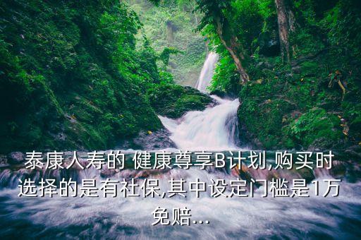 泰康人壽的 健康尊享B計(jì)劃,購(gòu)買時(shí)選擇的是有社保,其中設(shè)定門檻是1萬免賠...