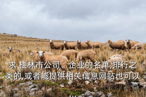 求 桂林市公司、企業(yè)的名單,排行之類的,或者能提供相關(guān)信息網(wǎng)站也可以...