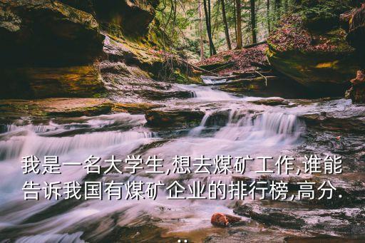 我是一名大學生,想去煤礦工作,誰能告訴我國有煤礦企業(yè)的排行榜,高分...