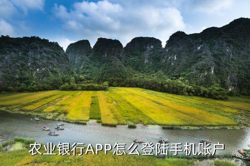  農業(yè)銀行APP怎么登陸手機賬戶