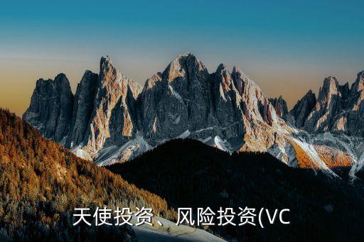 天使投資、風(fēng)險投資(VC