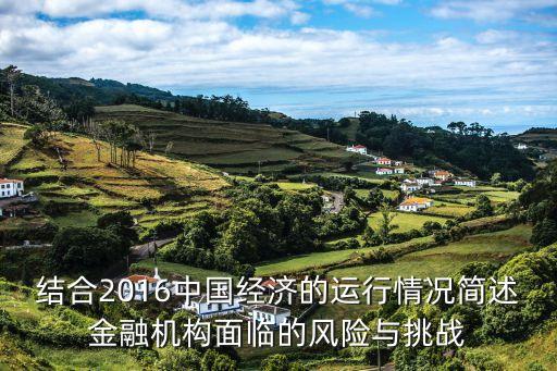結合2016中國經(jīng)濟的運行情況簡述金融機構面臨的風險與挑戰(zhàn)