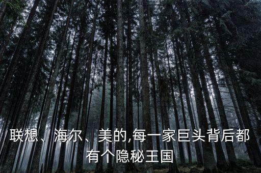 聯(lián)想、海爾、美的,每一家巨頭背后都有個隱秘王國