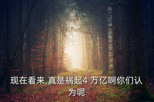 現(xiàn)在看來(lái),真是禍起4 萬(wàn)億啊你們認(rèn)為呢