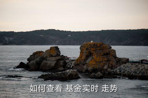 如何查看 基金實(shí)時 走勢