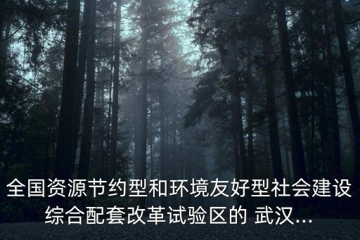 全國資源節(jié)約型和環(huán)境友好型社會(huì)建設(shè)綜合配套改革試驗(yàn)區(qū)的 武漢...