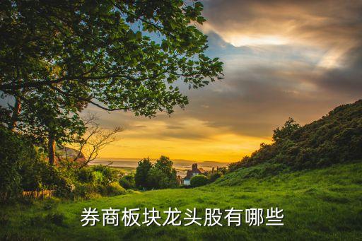 券商概念股票,券商軟件概念過(guò)