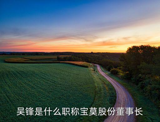 吳鋒是什么職稱(chēng)寶莫股份董事長(zhǎng)