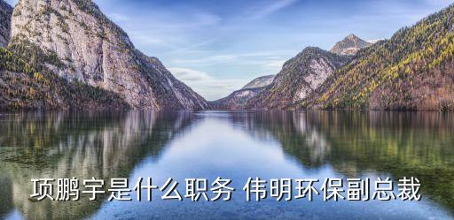 項鵬宇是什么職務 偉明環(huán)保副總裁