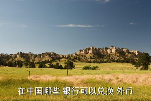 在中國(guó)哪些 銀行可以?xún)稉Q 外幣