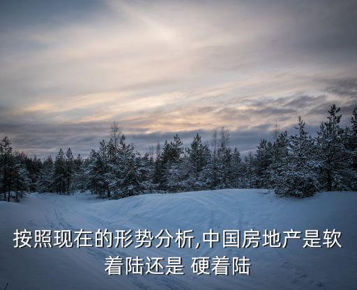 中國經(jīng)濟(jì)不會硬著陸的英文