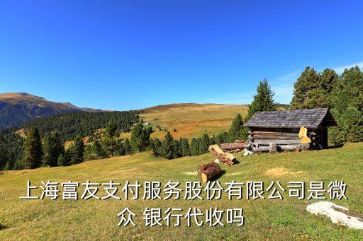  上海富友支付服務股份有限公司是微眾 銀行代收嗎