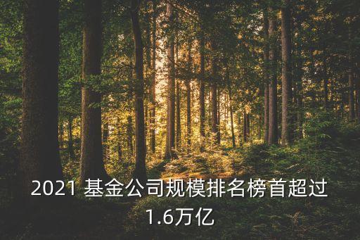 第八屆金牛基金及金?；鸸精@獎(jiǎng)名單
