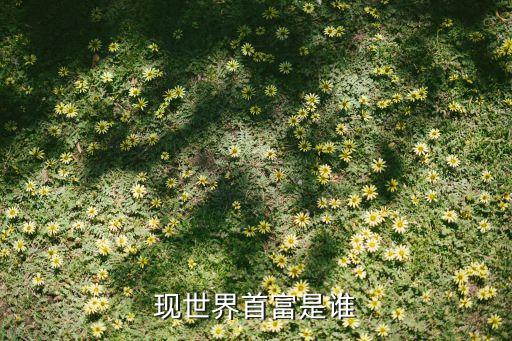 蓋茨是中國人,比爾蓋茨對中國人評價(jià)