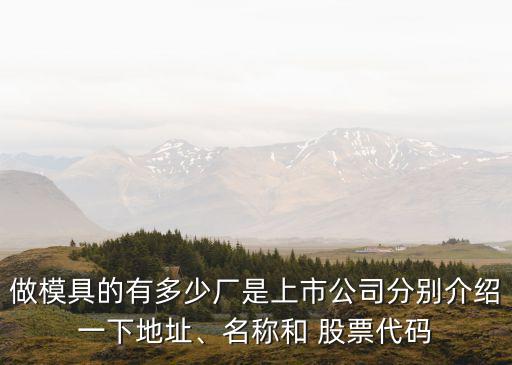 做模具的有多少廠是上市公司分別介紹一下地址、名稱和 股票代碼