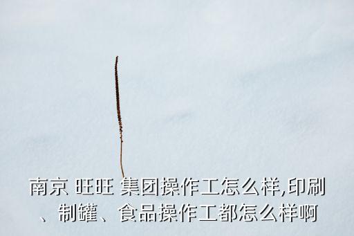 南京 旺旺 集團(tuán)操作工怎么樣,印刷、制罐、食品操作工都怎么樣啊