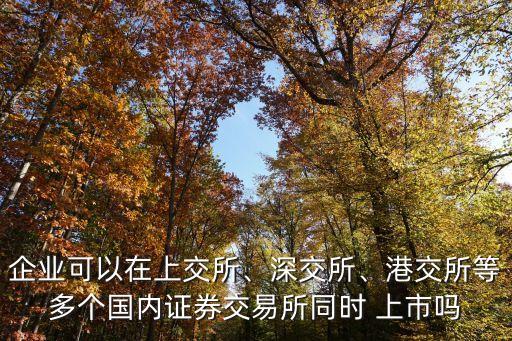 企業(yè)可以在上交所、深交所、港交所等多個(gè)國(guó)內(nèi)證券交易所同時(shí) 上市嗎